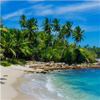 White Sands Fragrance Oil 645